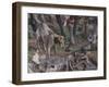 Dog and Ducks, Scene from Month of March-Francesco del Cossa-Framed Giclee Print