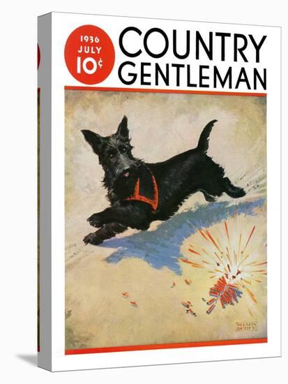 "Dog and Firecrackers," Country Gentleman Cover, July 1, 1936-Nelson Grofe-Stretched Canvas