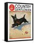 "Dog and Firecrackers," Country Gentleman Cover, July 1, 1936-Nelson Grofe-Framed Stretched Canvas