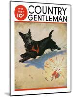 "Dog and Firecrackers," Country Gentleman Cover, July 1, 1936-Nelson Grofe-Mounted Giclee Print
