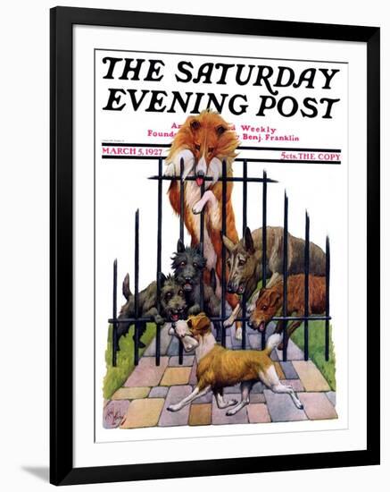 "Dog and His Bone," Saturday Evening Post Cover, March 5, 1927-Robert L. Dickey-Framed Giclee Print