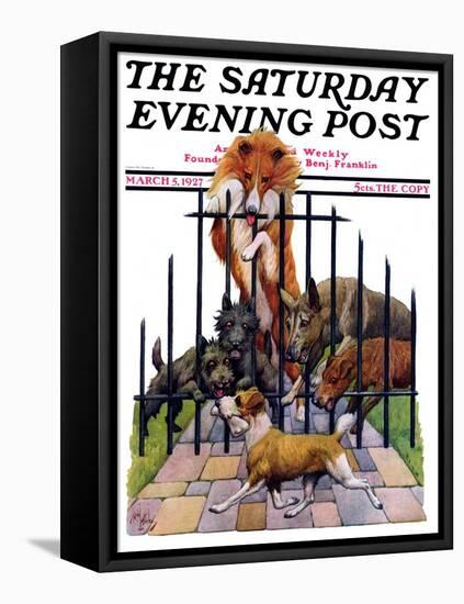"Dog and His Bone," Saturday Evening Post Cover, March 5, 1927-Robert L. Dickey-Framed Stretched Canvas