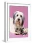 Dog and Kitten with Head on Dogos Paw-null-Framed Photographic Print