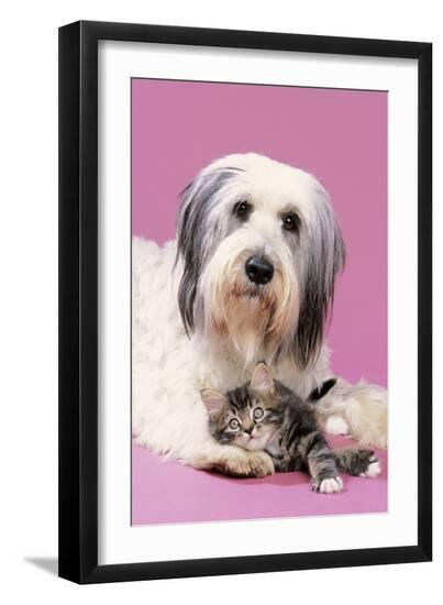Photographic Print, , large
