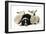 Dog and Lamb, Border Collie Sitting Between Two Cross-null-Framed Premium Photographic Print