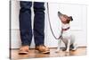 Dog and Owner-Javier Brosch-Stretched Canvas