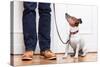 Dog and Owner-Javier Brosch-Stretched Canvas