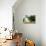 Dog and Owner-Javier Brosch-Stretched Canvas displayed on a wall