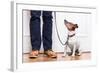 Dog and Owner-Javier Brosch-Framed Photographic Print