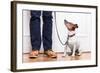 Dog and Owner-Javier Brosch-Framed Photographic Print