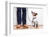 Dog and Owner-Javier Brosch-Framed Photographic Print