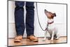 Dog and Owner-Javier Brosch-Mounted Photographic Print