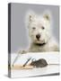 Dog and Rat West Highland Terrier Watching Rat-null-Stretched Canvas