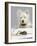 Dog and Rat West Highland Terrier Watching Rat-null-Framed Photographic Print