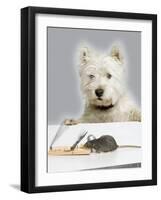 Dog and Rat West Highland Terrier Watching Rat-null-Framed Photographic Print