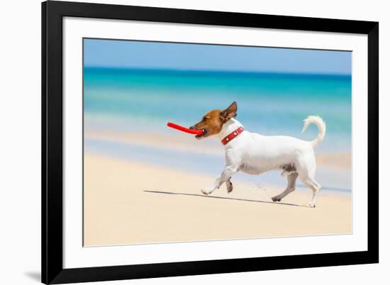 Dog and Red Flying Disc-Javier Brosch-Framed Photographic Print