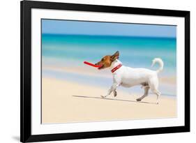 Dog and Red Flying Disc-Javier Brosch-Framed Photographic Print