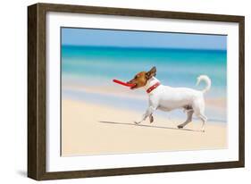 Dog and Red Flying Disc-Javier Brosch-Framed Photographic Print