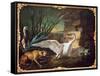 Dog and Swans (Oil on Canvas)-Jean-Baptiste Oudry-Framed Stretched Canvas