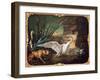 Dog and Swans (Oil on Canvas)-Jean-Baptiste Oudry-Framed Giclee Print