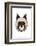 Dog - Animaru Cartoon Animal Print-Animaru-Framed Giclee Print