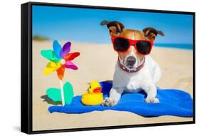 Dog at Beach-Javier Brosch-Framed Stretched Canvas