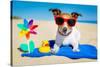 Dog at Beach-Javier Brosch-Stretched Canvas