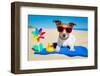 Dog at Beach-Javier Brosch-Framed Photographic Print