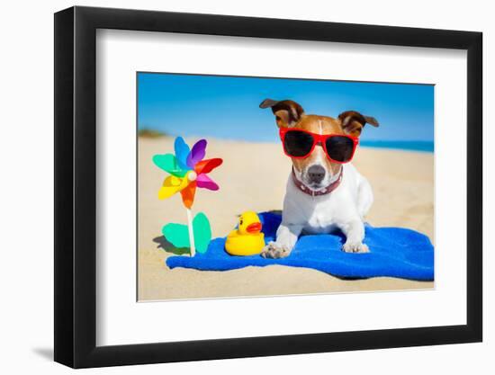 Dog at Beach-Javier Brosch-Framed Photographic Print