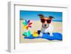 Dog at Beach-Javier Brosch-Framed Photographic Print