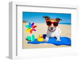 Dog at Beach-Javier Brosch-Framed Photographic Print