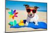 Dog at Beach-Javier Brosch-Mounted Photographic Print