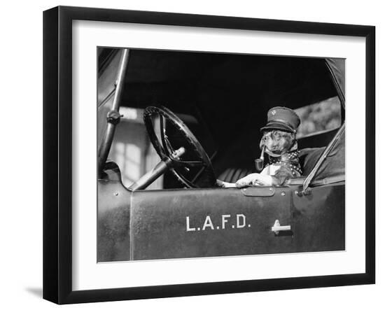 Premium Photographic Print, , large