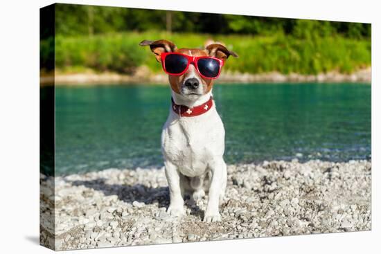 Dog at River in Summer-Javier Brosch-Stretched Canvas