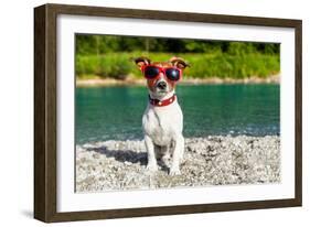 Dog at River in Summer-Javier Brosch-Framed Photographic Print