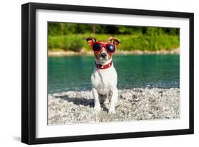 Dog at River in Summer-Javier Brosch-Framed Photographic Print