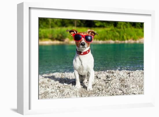 Dog at River in Summer-Javier Brosch-Framed Photographic Print