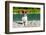 Dog at River in Summer-Javier Brosch-Framed Photographic Print