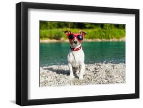 Dog at River in Summer-Javier Brosch-Framed Photographic Print