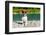 Dog at River in Summer-Javier Brosch-Framed Photographic Print