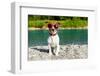 Dog at River in Summer-Javier Brosch-Framed Photographic Print