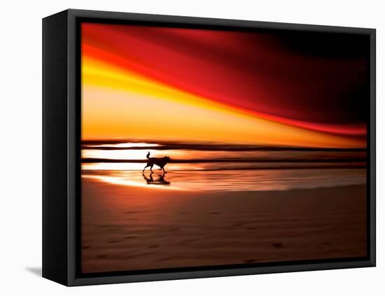 Dog at Sunset-Josh Adamski-Framed Stretched Canvas