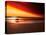 Dog at Sunset-Josh Adamski-Stretched Canvas