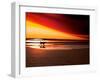 Dog at Sunset-Josh Adamski-Framed Photographic Print