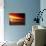 Dog at Sunset-Josh Adamski-Photographic Print displayed on a wall