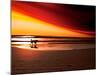 Dog at Sunset-Josh Adamski-Mounted Photographic Print