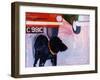 Dog at the Used Car Lot, Rex with Orange Car-Brenda Brin Booker-Framed Giclee Print