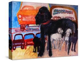 Dog at the Used Car Lot, Rex-Brenda Brin Booker-Stretched Canvas