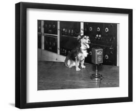 Dog at Wgy Radio Microphone-null-Framed Photographic Print