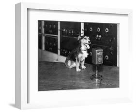 Dog at Wgy Radio Microphone-null-Framed Photographic Print